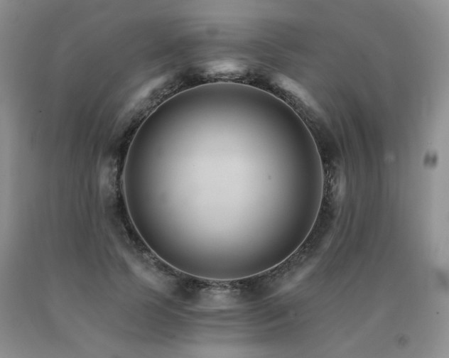 X0000091080745200708061336