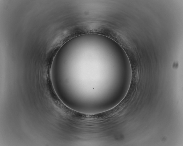 X0000091080746200708061336