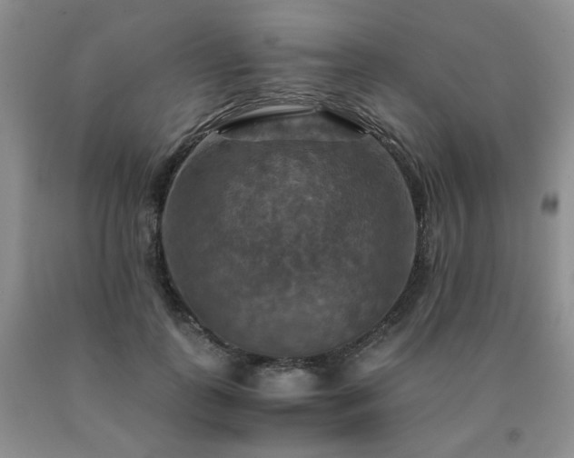 X0000091080747200708061336