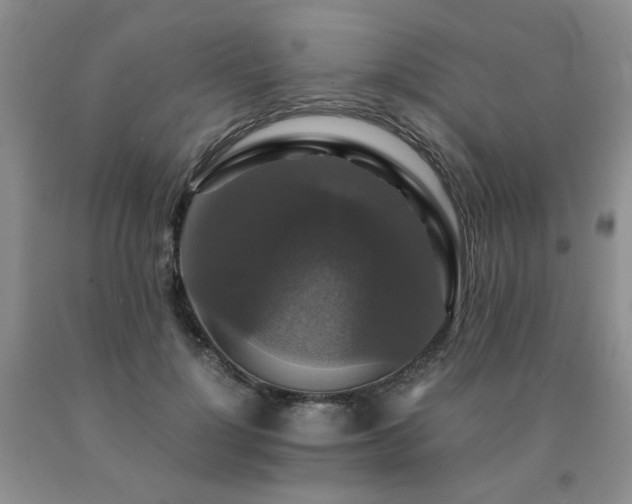 X0000091080748200708061336