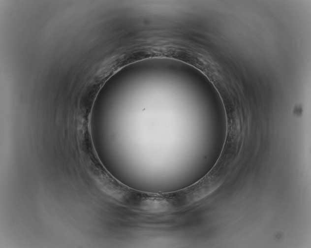 X0000091080749200708061336