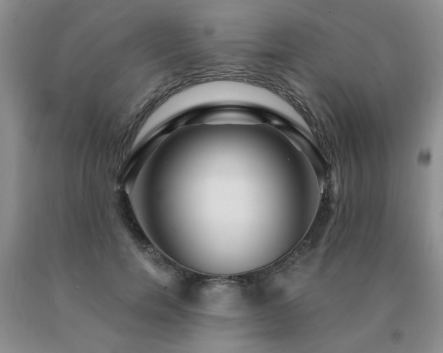 X0000091080750200708061336