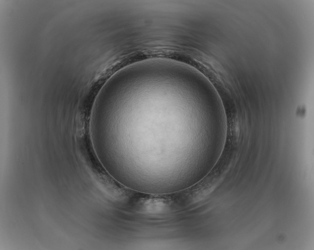 X0000091080751200708061337