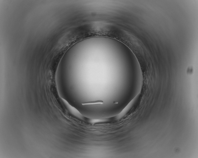 X0000091080752200708061337