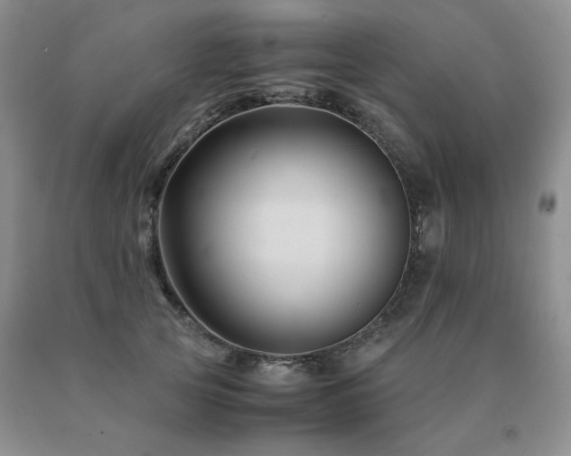 X0000091080753200708061337