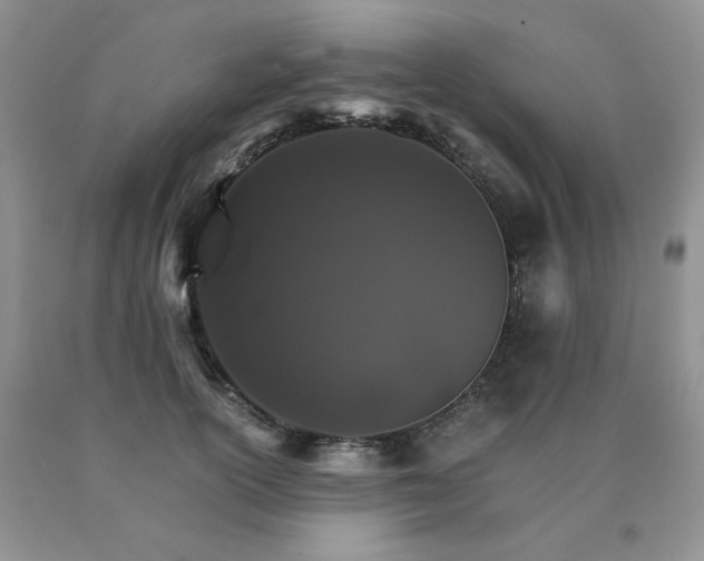 X0000091080754200708061337