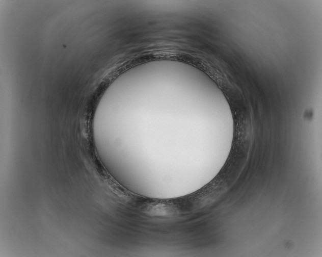 X0000091080755200708061337