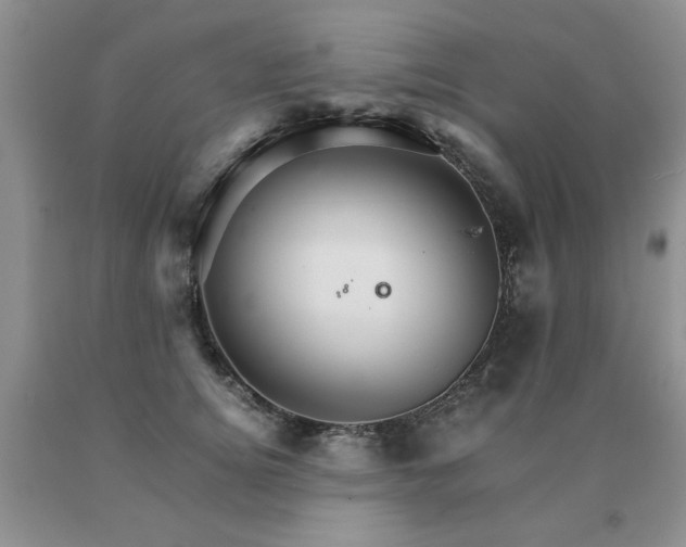 X0000091080756200708061337