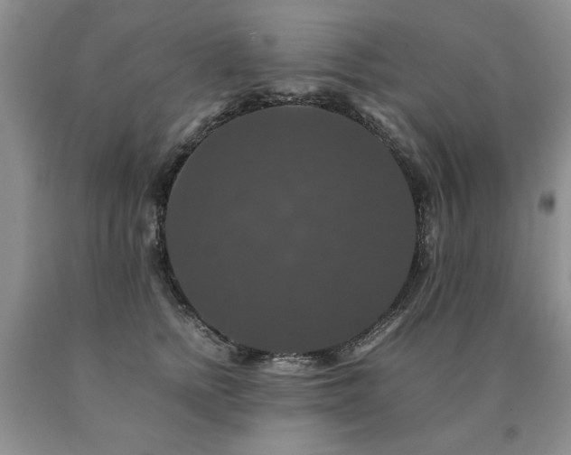 X0000091080758200708061337