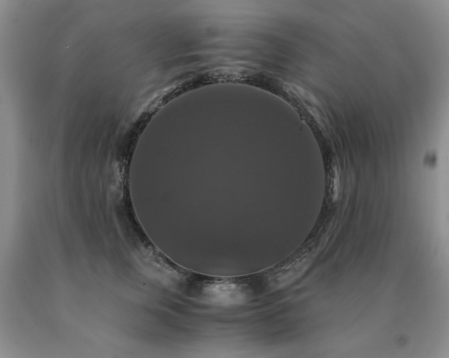 X0000091080759200708061337