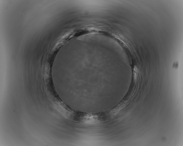 X0000091080760200708061337