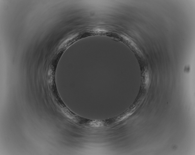 X0000091080762200708061337