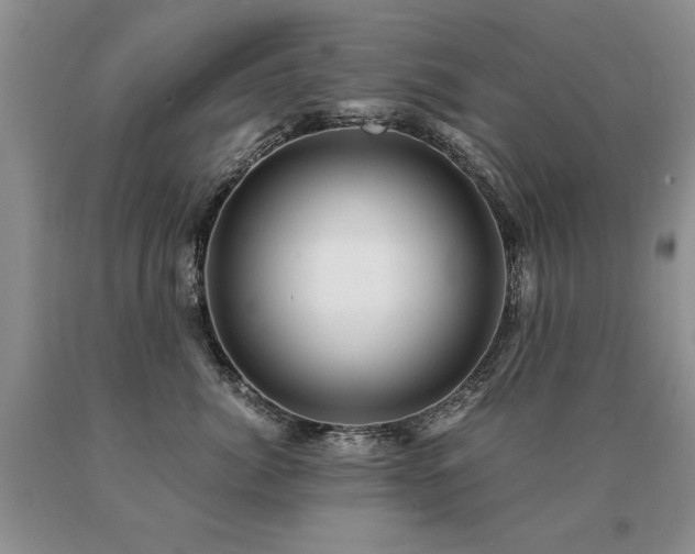 X0000091080764200708061337