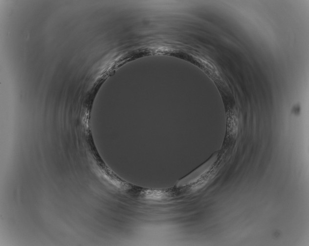 X0000091080766200708061337