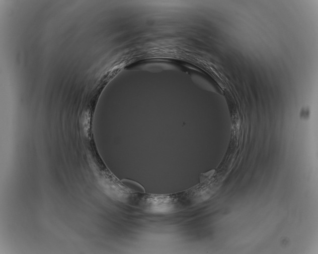 X0000091080767200708061337