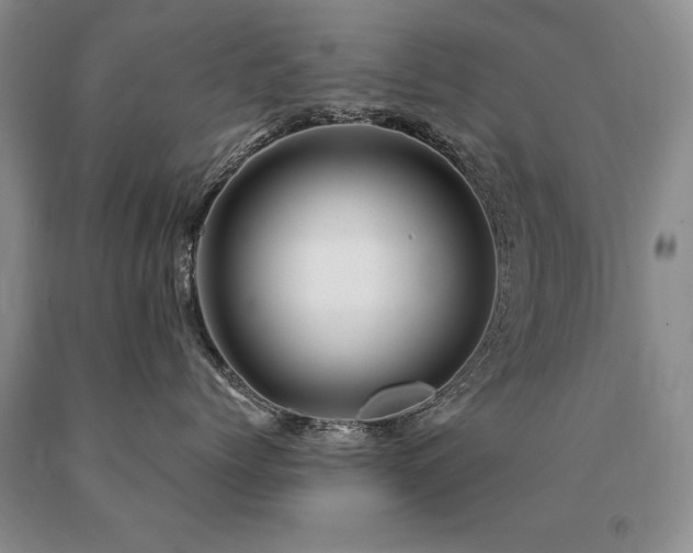 X0000091080768200708061337