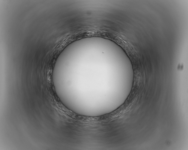 X0000091080770200708061336