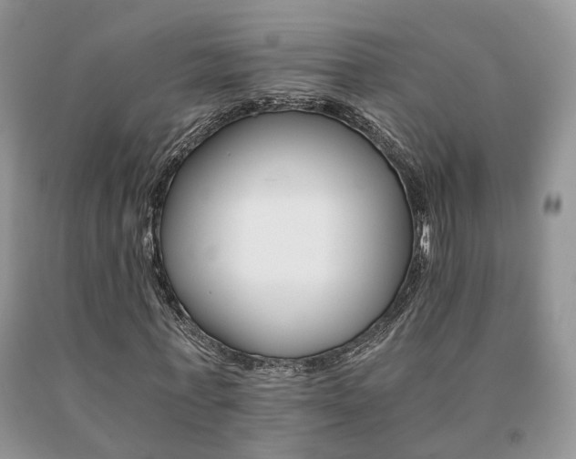 X0000091080771200708061336