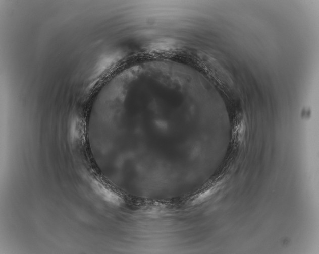 X0000091080772200708061336