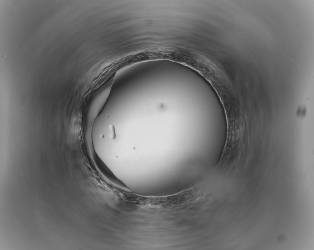 X0000091080773200708061336