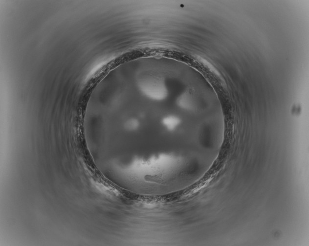 X0000091080775200708061336