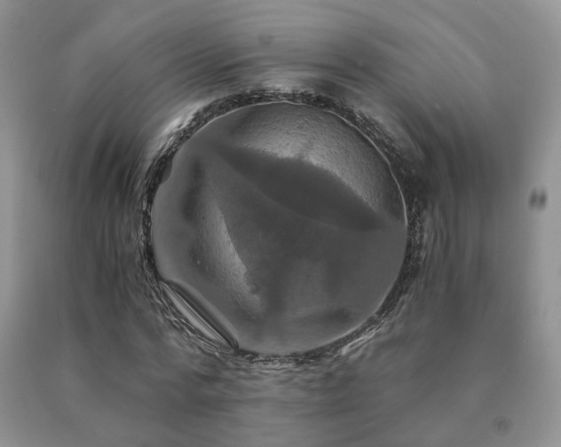 X0000091080776200708061336