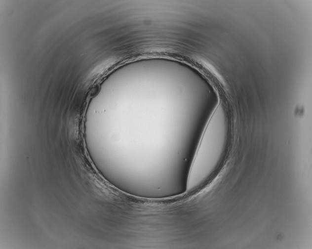 X0000091080777200708061336