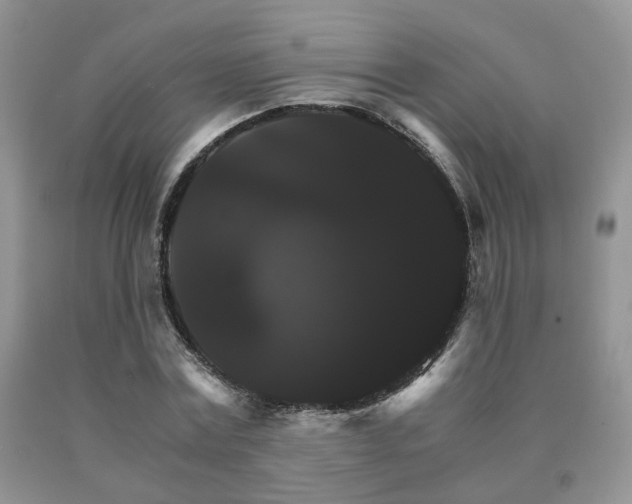 X0000091080779200708061336