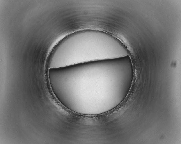 X0000091080780200708061336