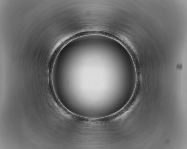 X0000091080781200708061336