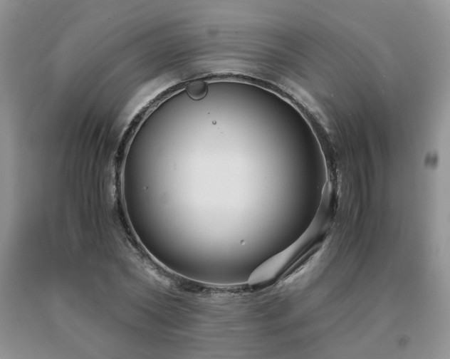 X0000091080782200708061336