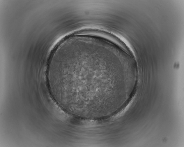 X0000091080783200708061336