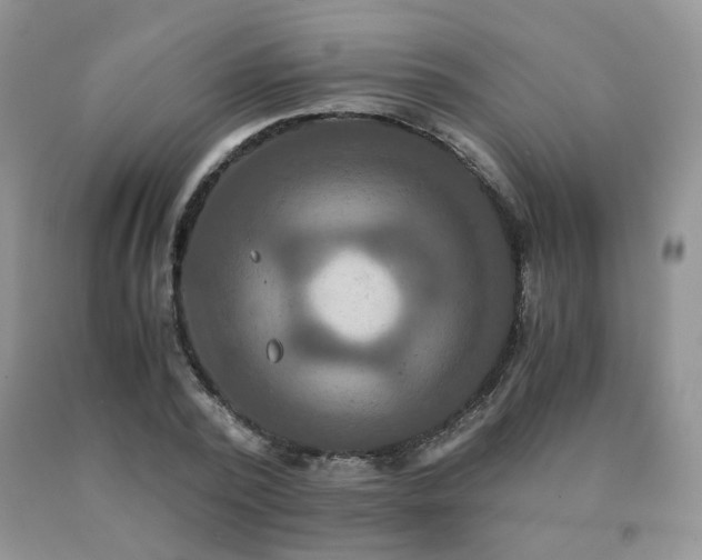 X0000091080784200708061336