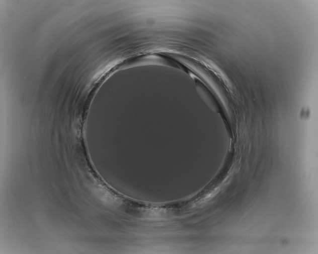 X0000091080785200708061336