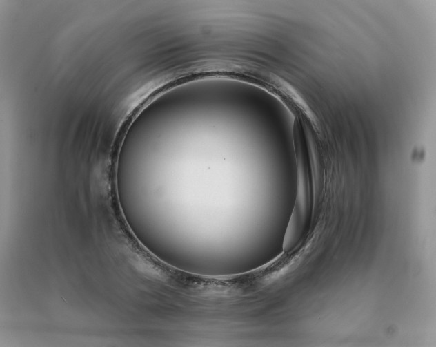 X0000091080786200708061336