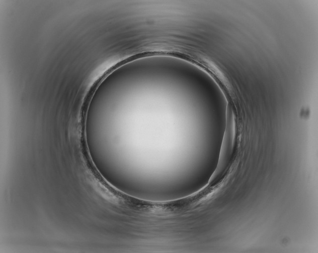 X0000091080787200708061336