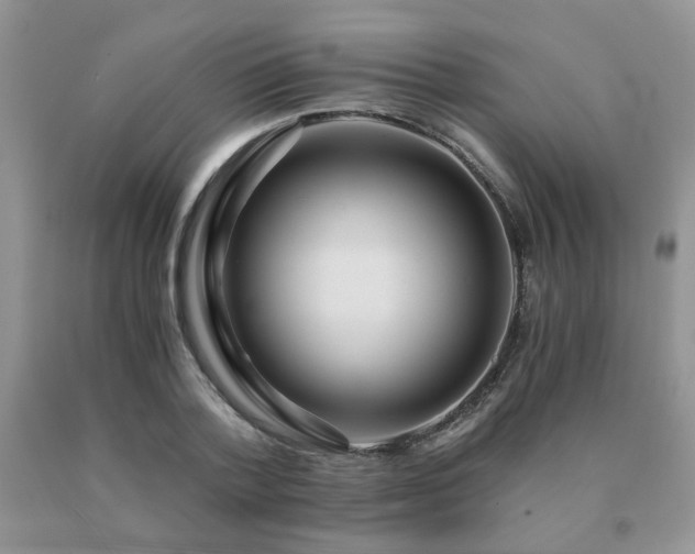 X0000091080788200708061336