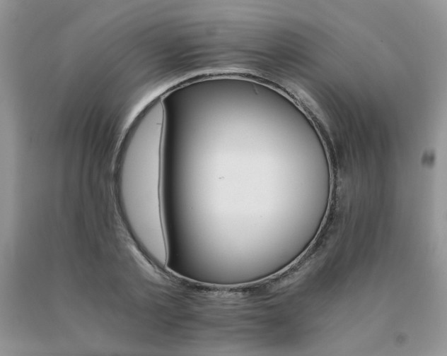 X0000091080789200708061336