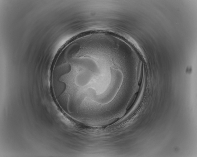 X0000091080791200708061336