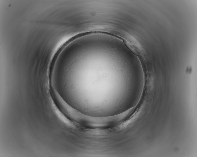 X0000091080792200708061336