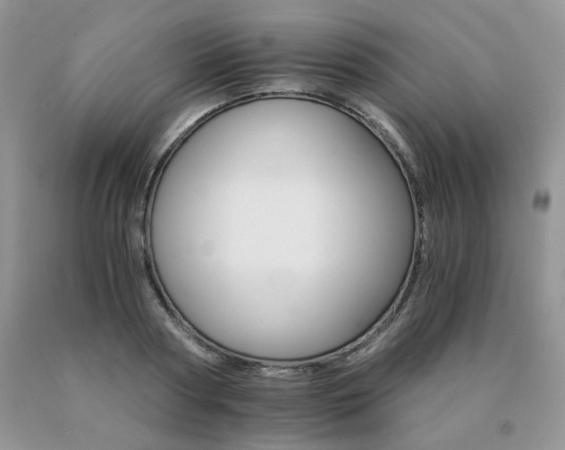 X0000091080794200708061336