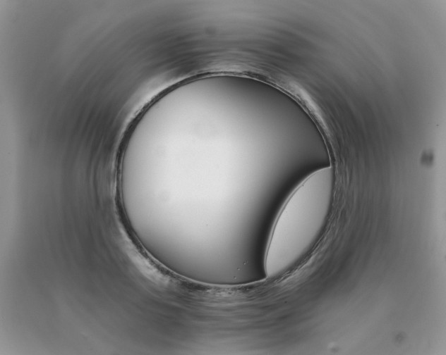 X0000091080795200708061336