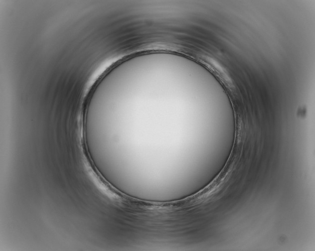 X0000091080796200708061336