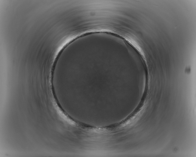 X0000091080797200708061336