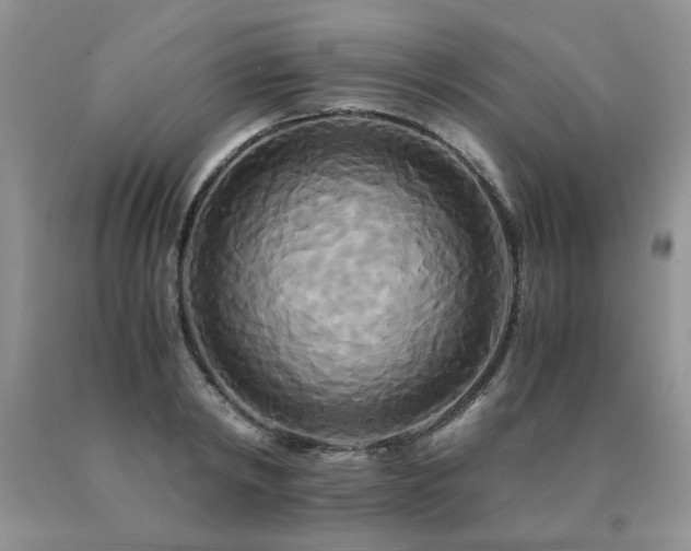 X0000091080798200708061336