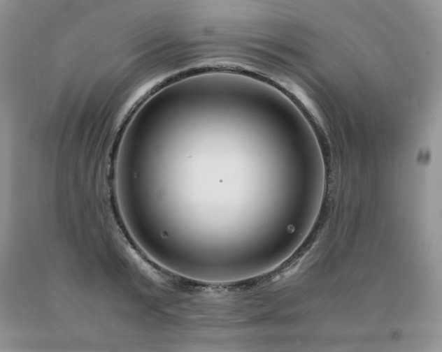 X0000091080799200708061336