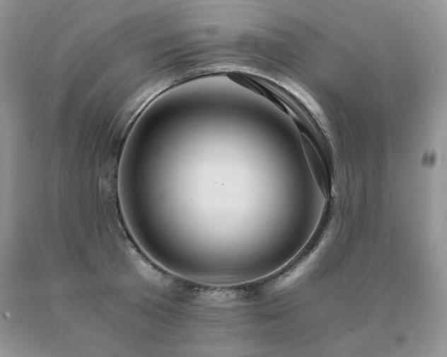 X0000091080801200708061336