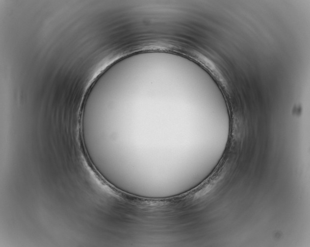 X0000091080802200708061336