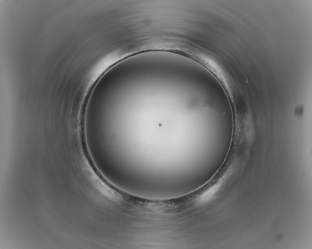 X0000091080803200708061336