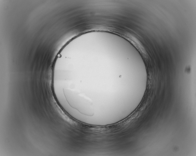 X0000091080804200708061336